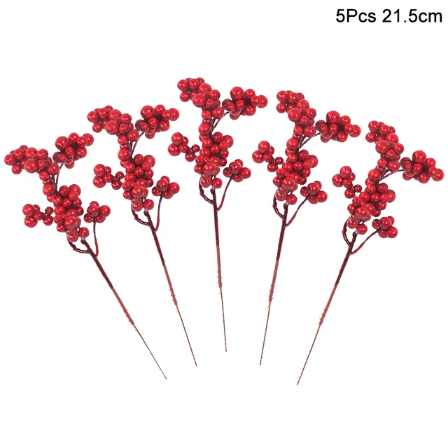 5pcs red berry